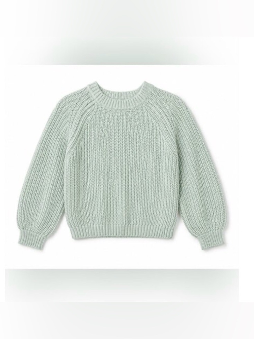 Free People Pale Mint Green Chunky Crewneck Sweater